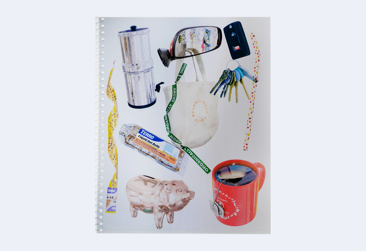 Asha Schechter Transparency Books