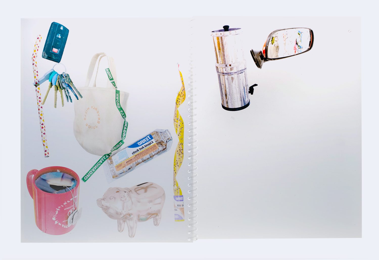 Asha Schechter Transparency Books