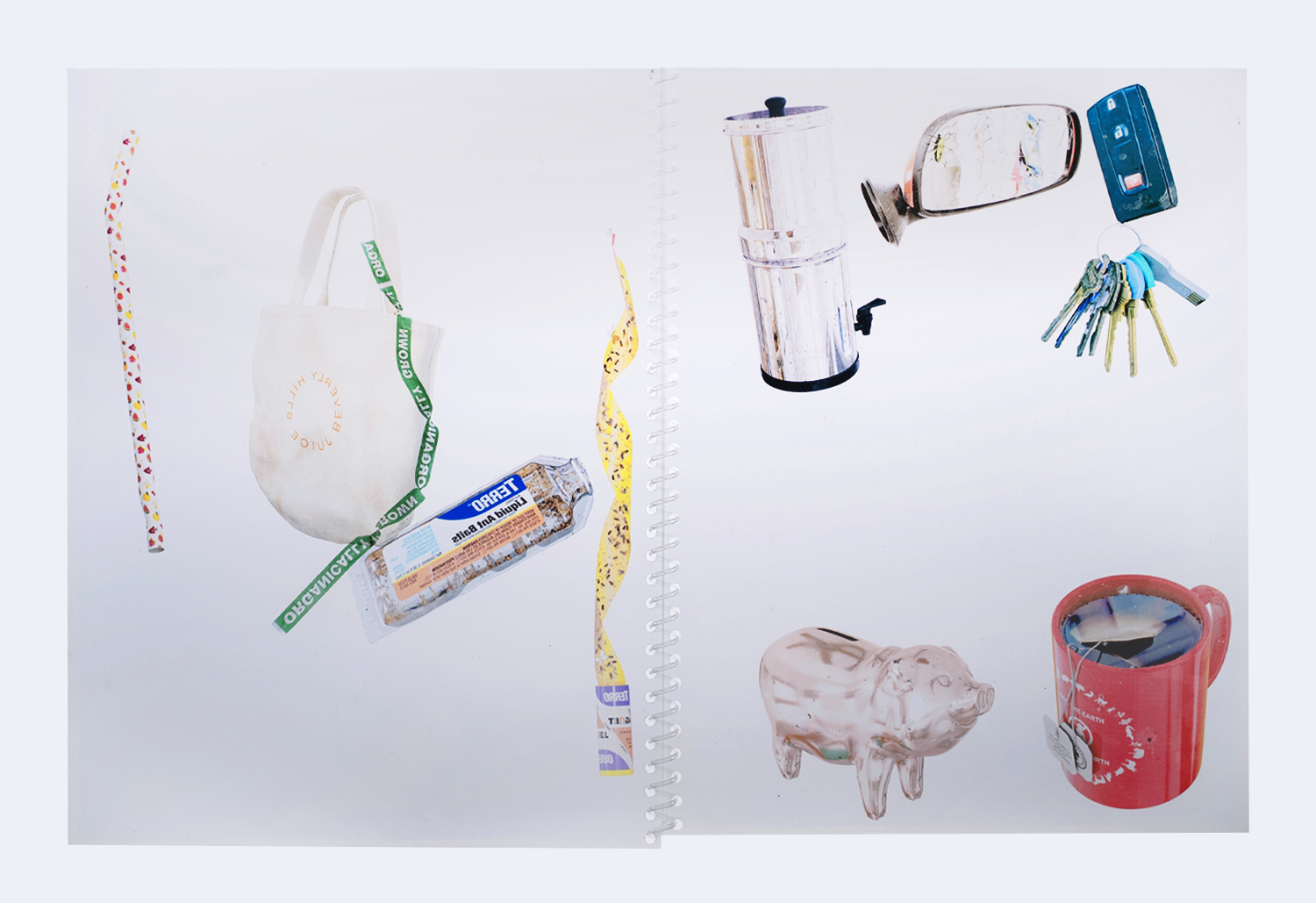 Asha Schechter Transparency Books