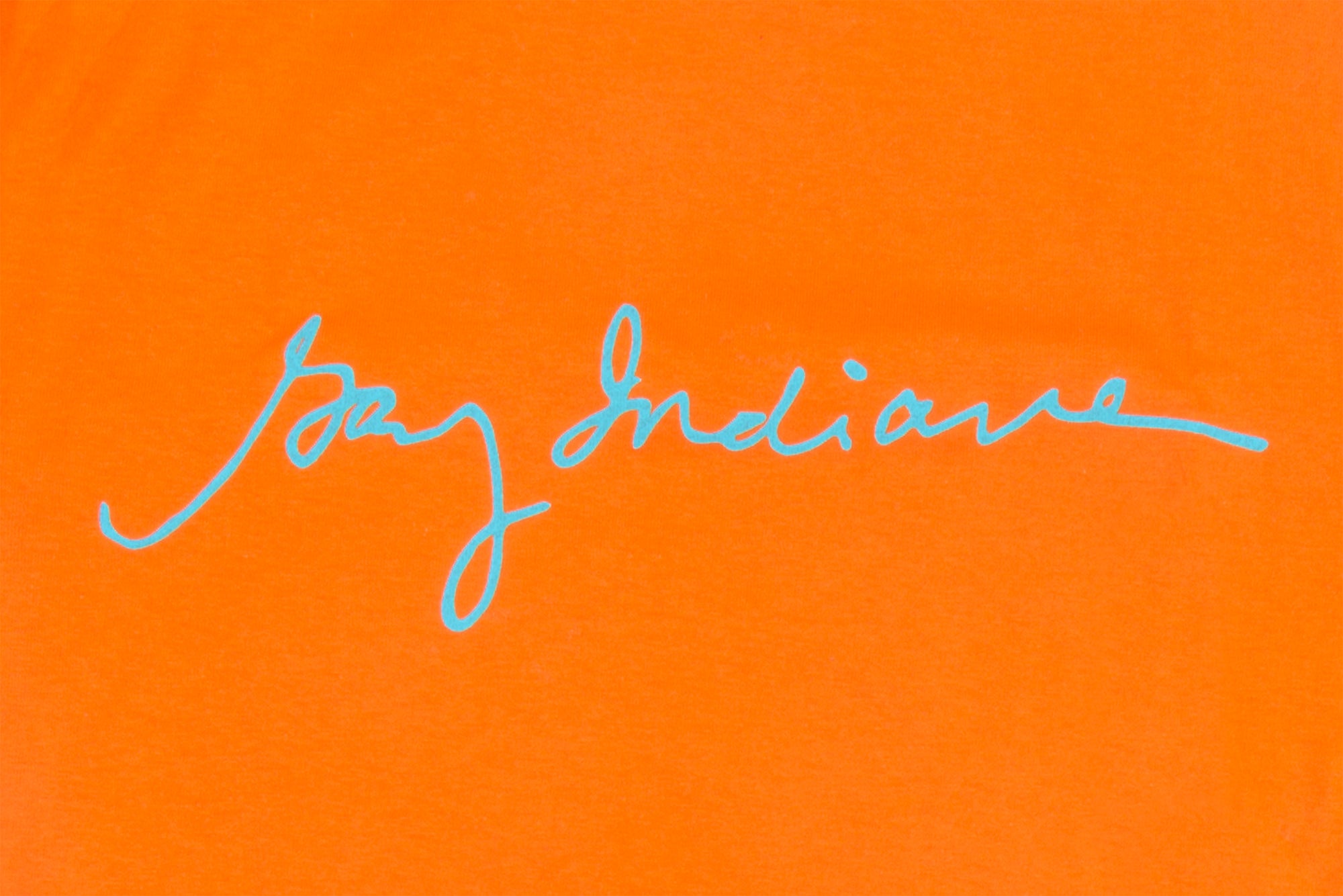 Gary Indiana: Fire Season Shirt