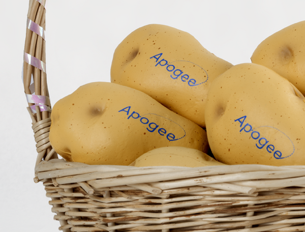 Apogee Graphics