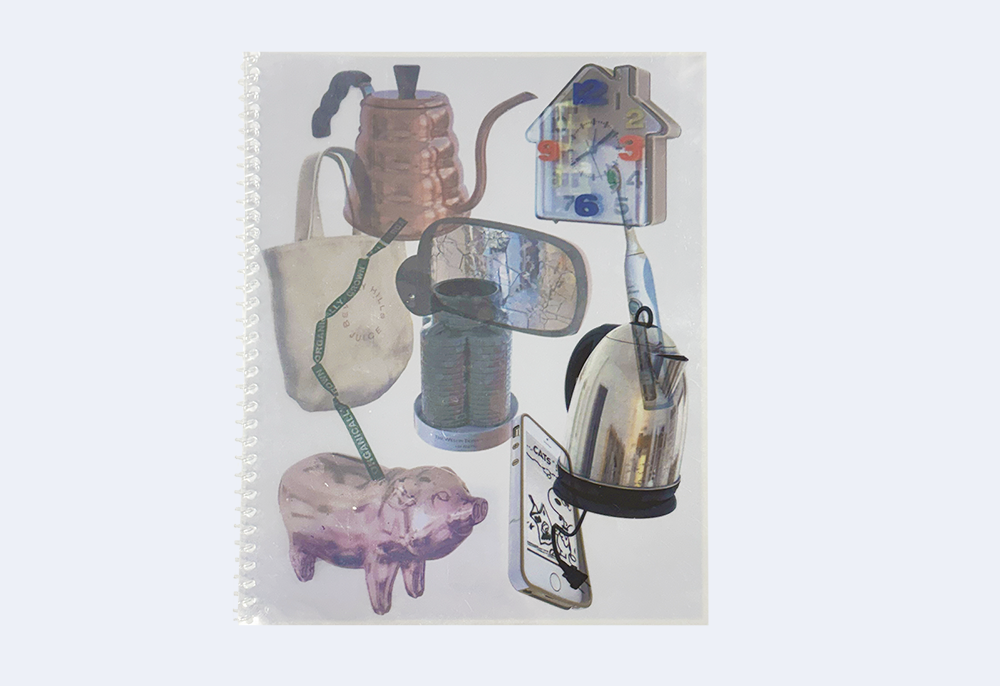 Asha Schechter Transparency Books