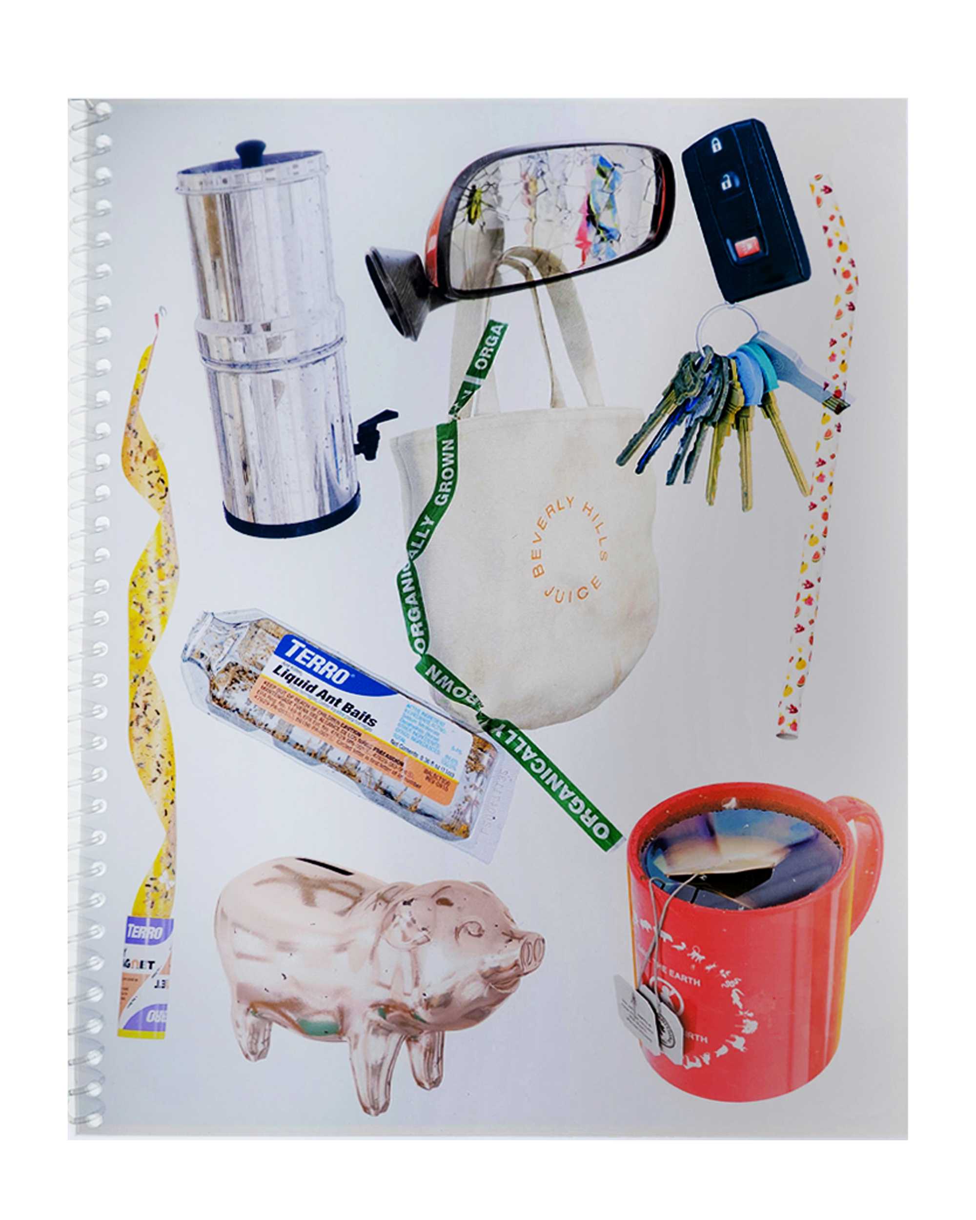 Asha Schechter Transparency Books