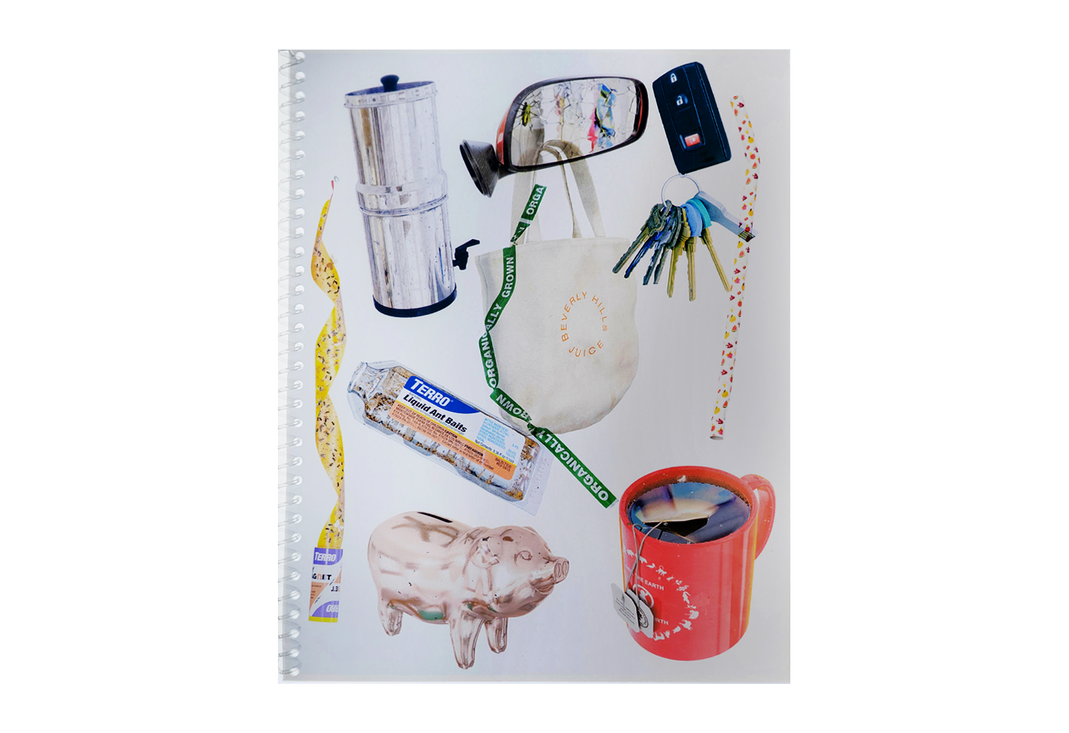 Asha Schechter Transparency Books