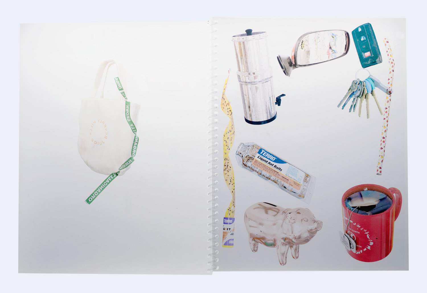 Asha Schechter Transparency Books